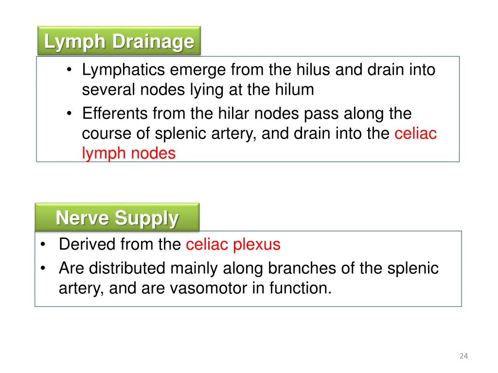 lymph drainage 1