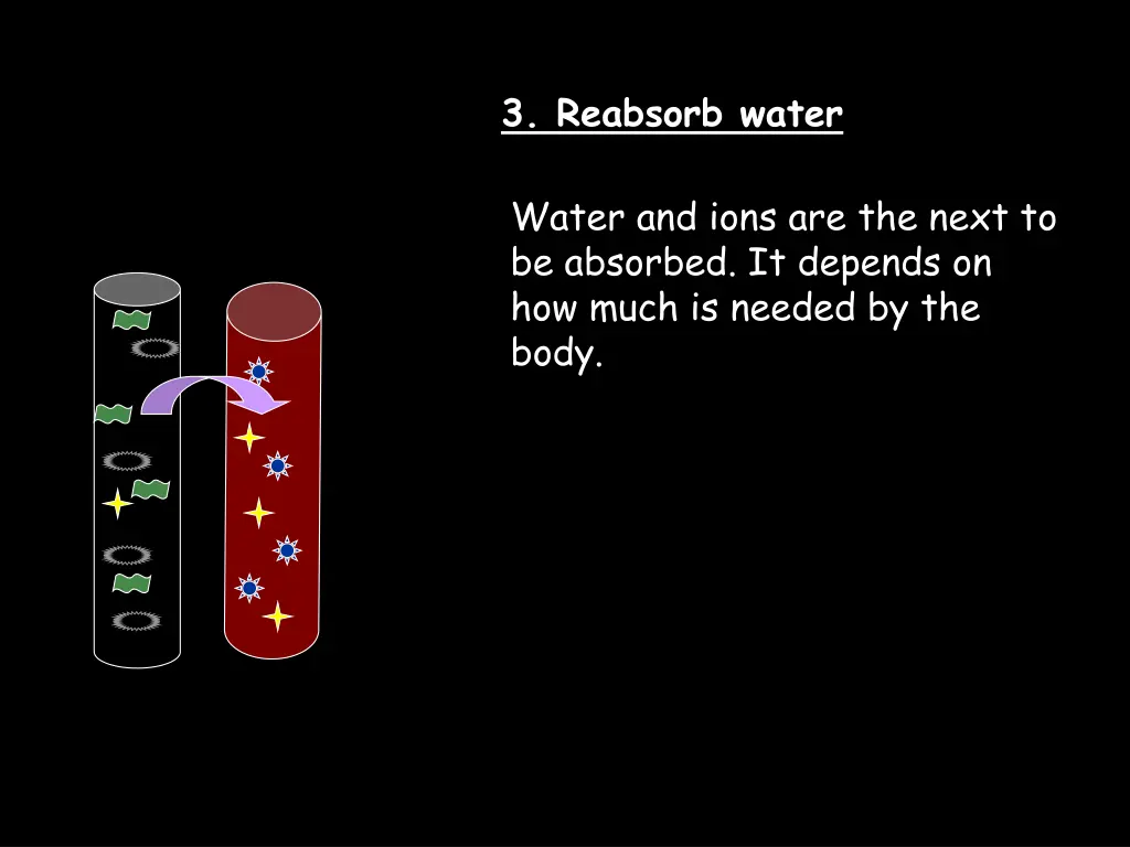3 reabsorb water
