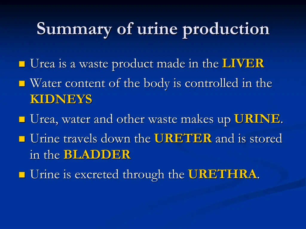 summary of urine production