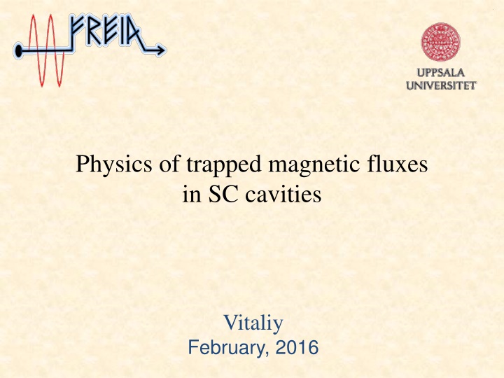physics of trapped magnetic fluxes in sc cavities