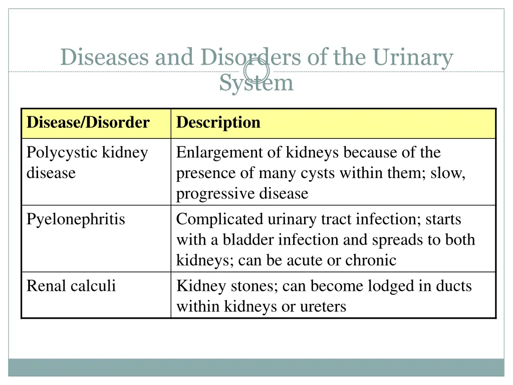 diseases and disorders of the urinary system 1