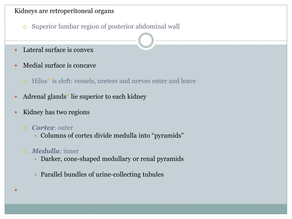 kidneys are retroperitoneal organs