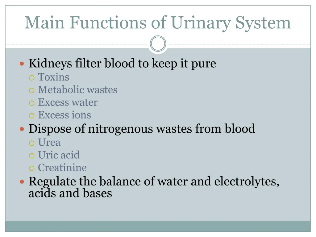 main functions of urinary system
