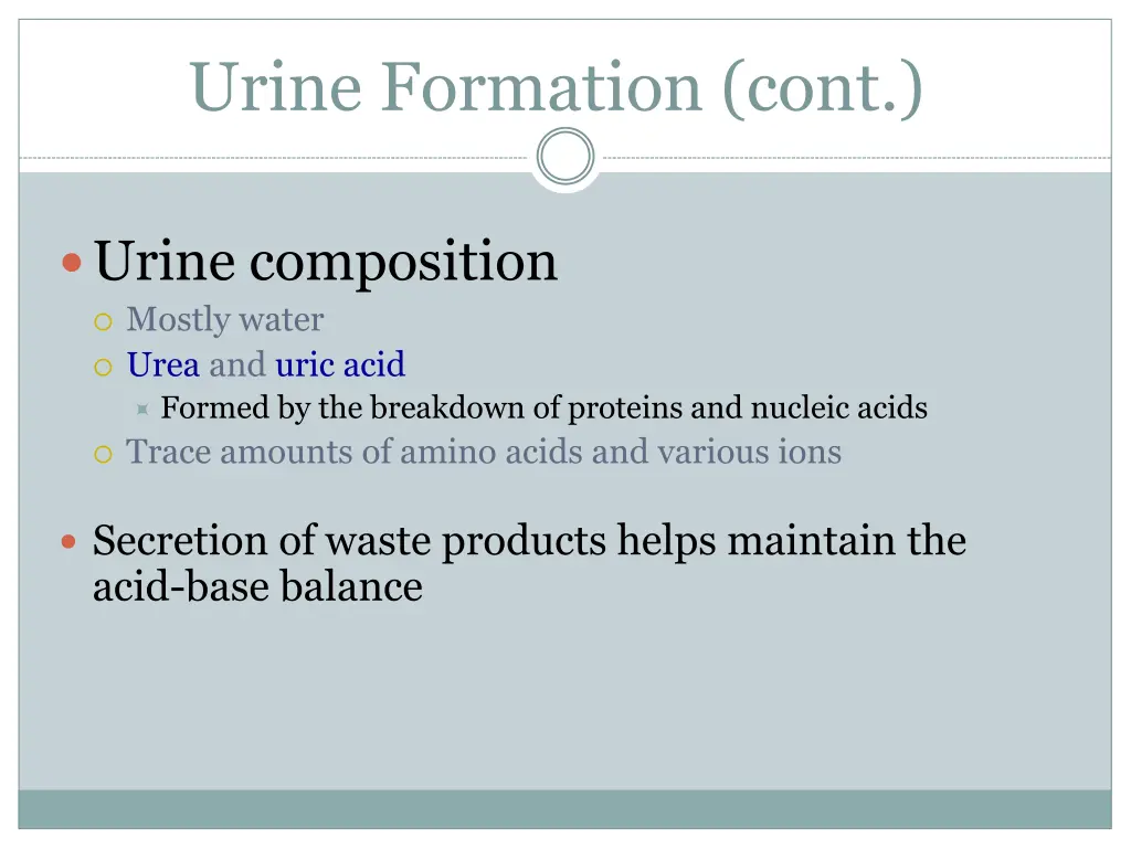 urine formation cont