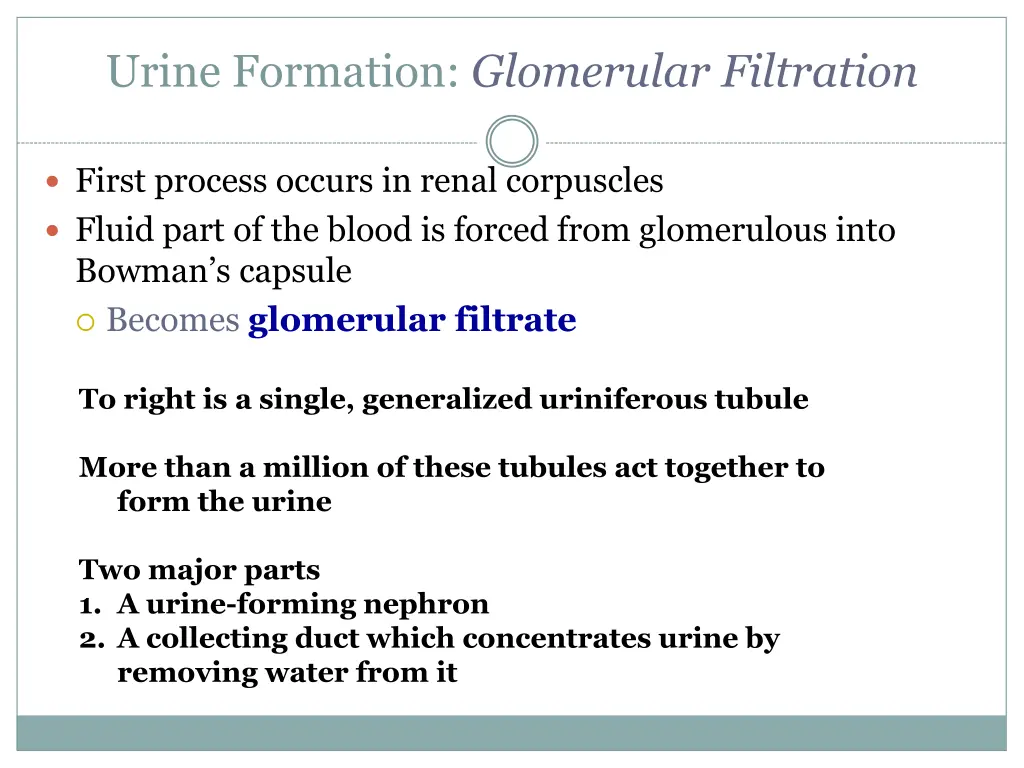 urine formation glomerular filtration
