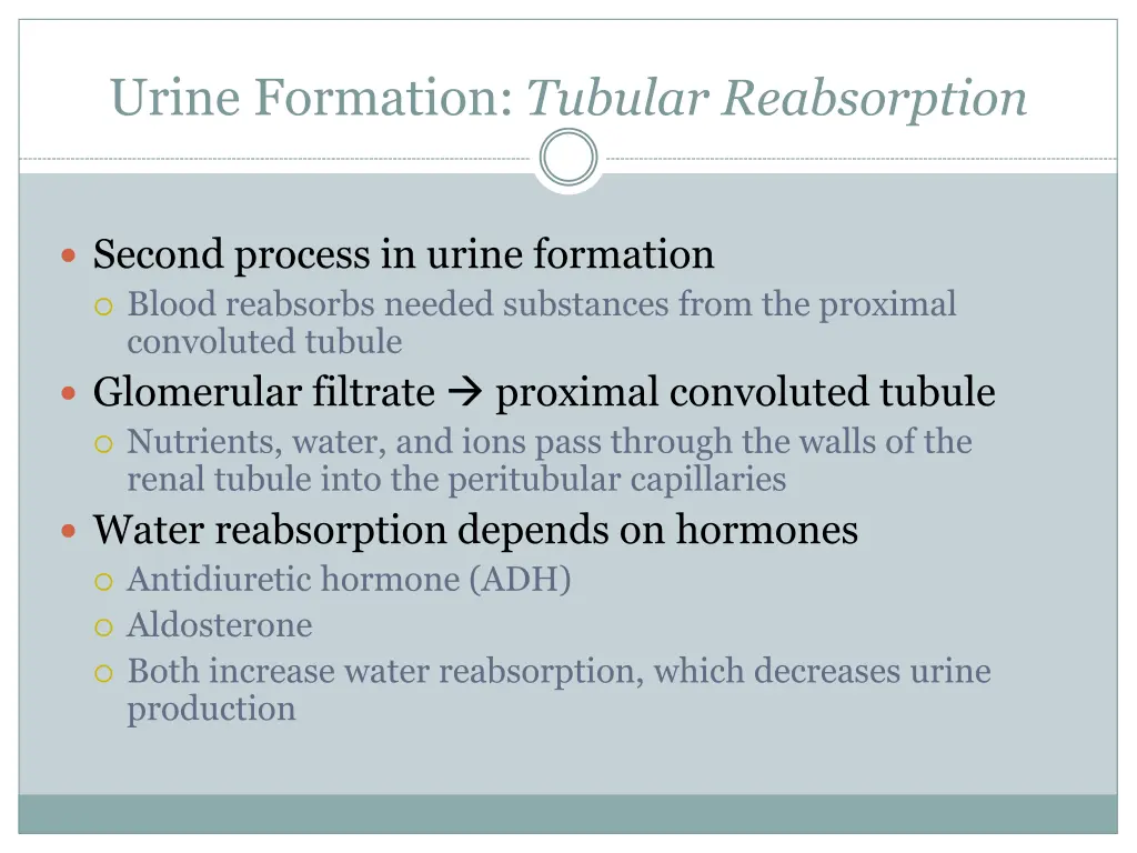 urine formation tubular reabsorption