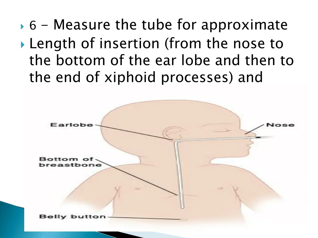 6 measure the tube for approximate length