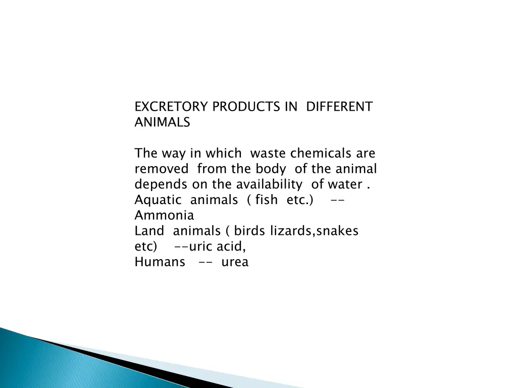 excretory products in different animals