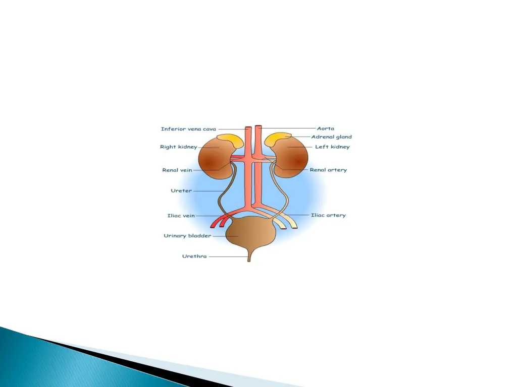 slide3