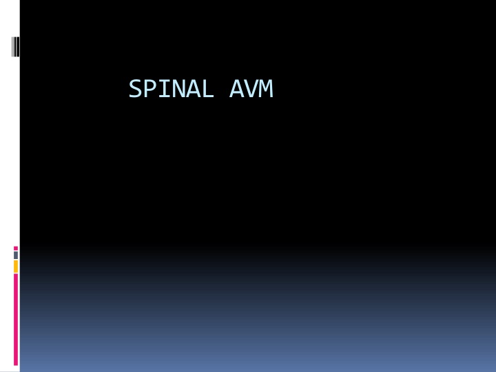 spinal avm