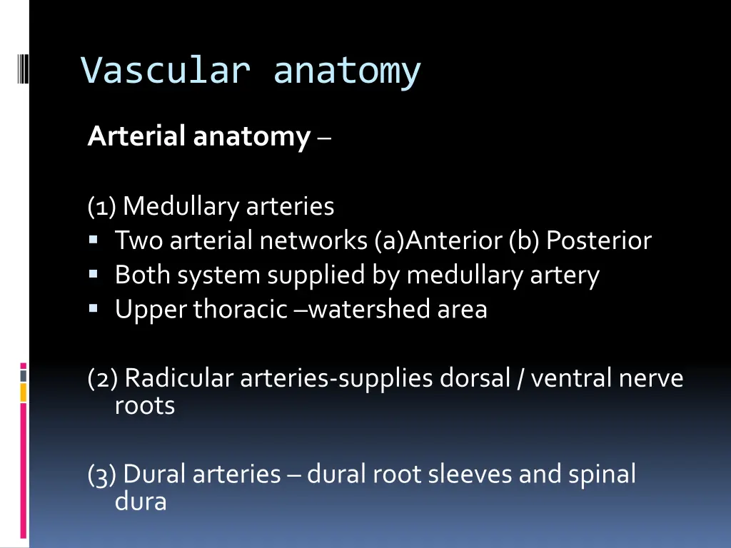vascular anatomy