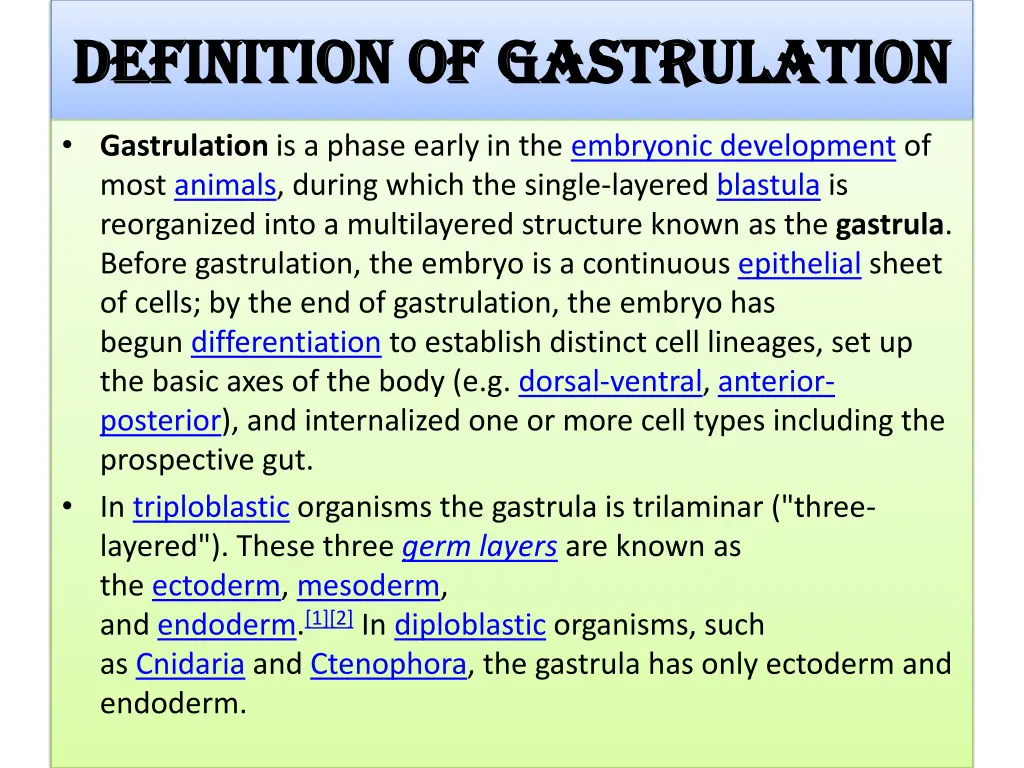 definition of gastrulation definition