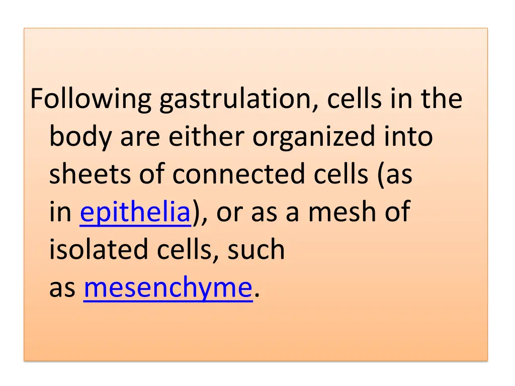 following gastrulation cells in the body