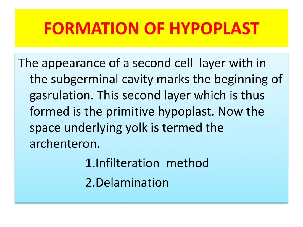 formation of hypoplast