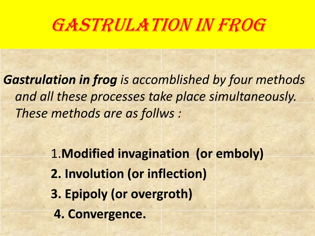 gastrulation in frog