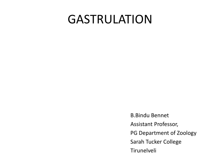 gastrulation