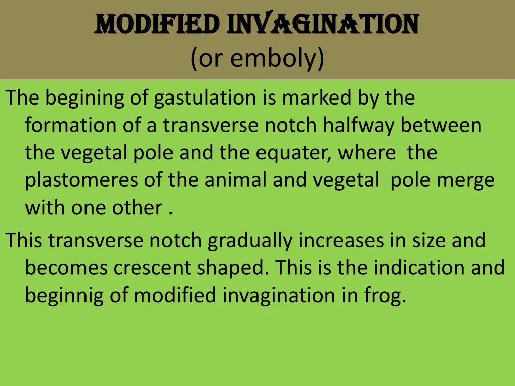 modified invagination modified invagination