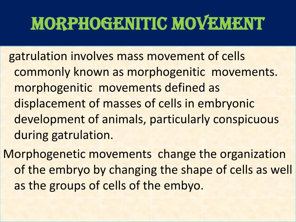 morphogenitic movement morphogenitic movement 1