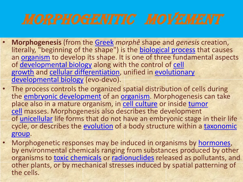morphogenitic movement morphogenitic movement