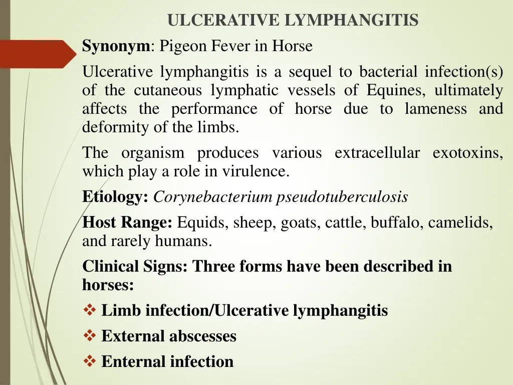 ulcerative lymphangitis synonym pigeon fever