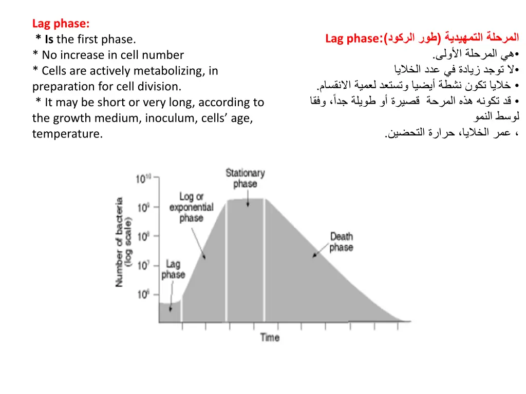 lag phase is the first phase no increase in cell