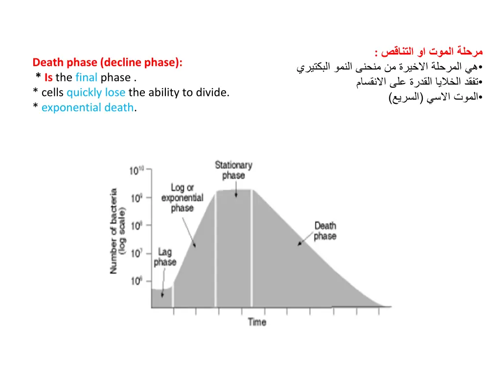 slide15