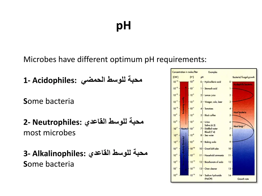 slide19