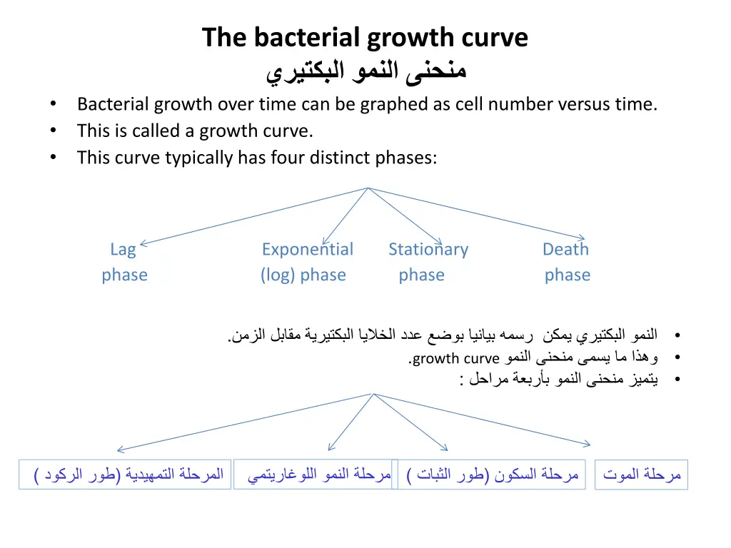 the bacterial growth curve bacterial growth over