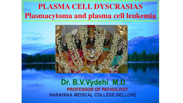 plasma cell dyscrasias plasmacytoma and plasma