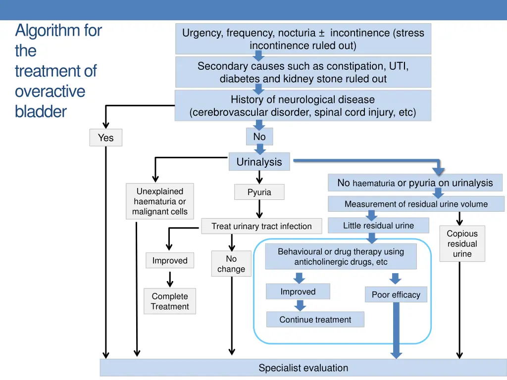 algorithm for the treatment of overactive bladder