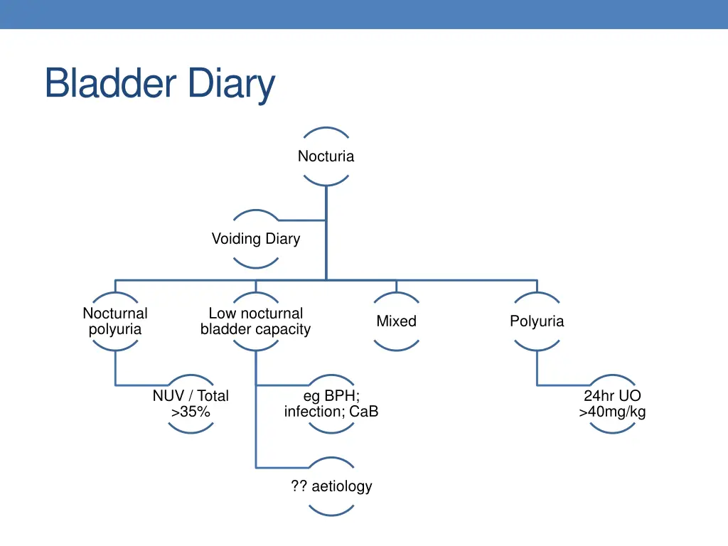 bladder diary