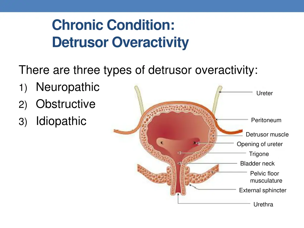 chronic condition detrusor overactivity