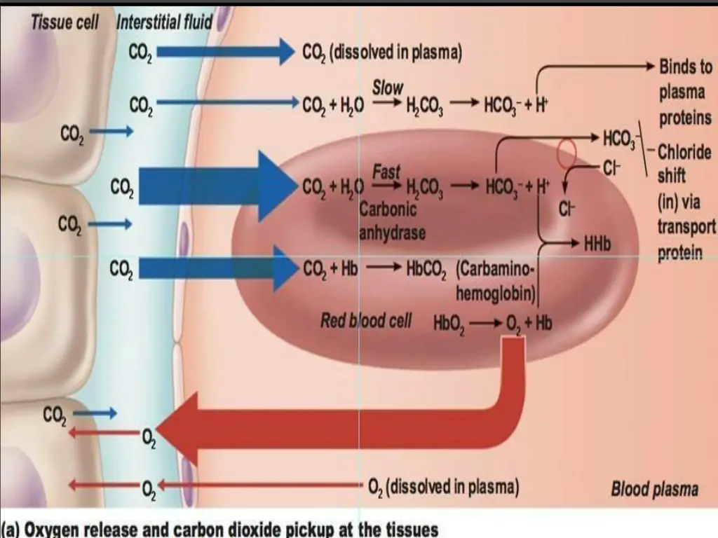 slide7