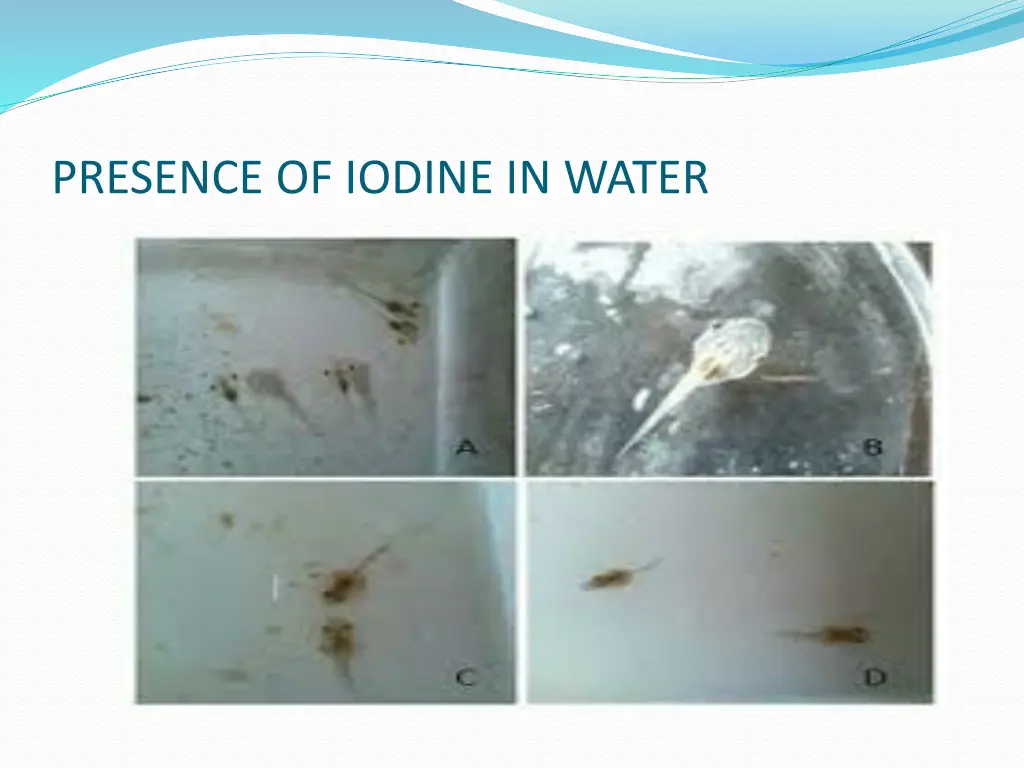presence of iodine in water