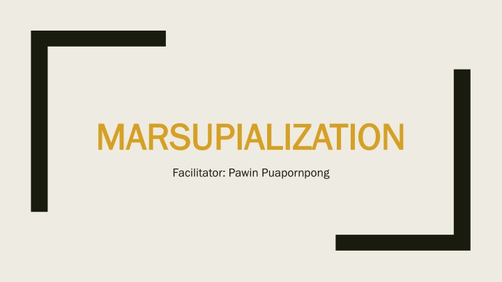marsupialization marsupialization
