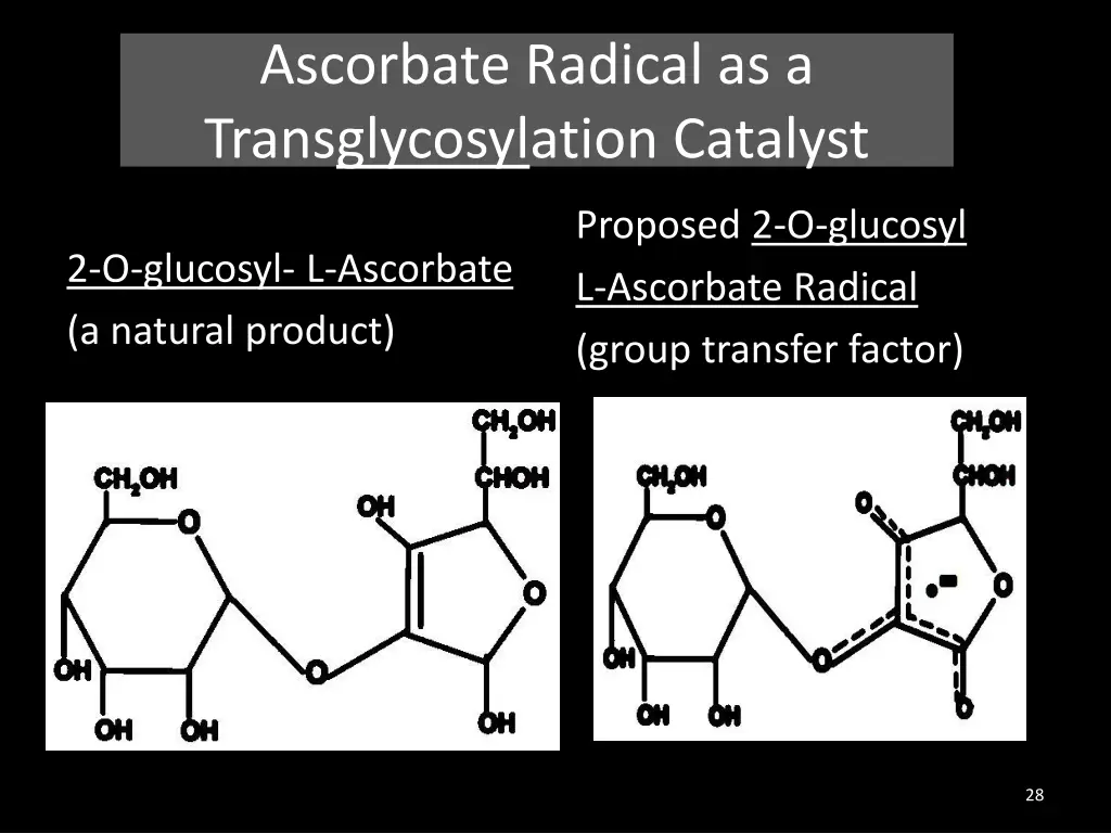 ascorbate radical as a transglycosylation catalyst