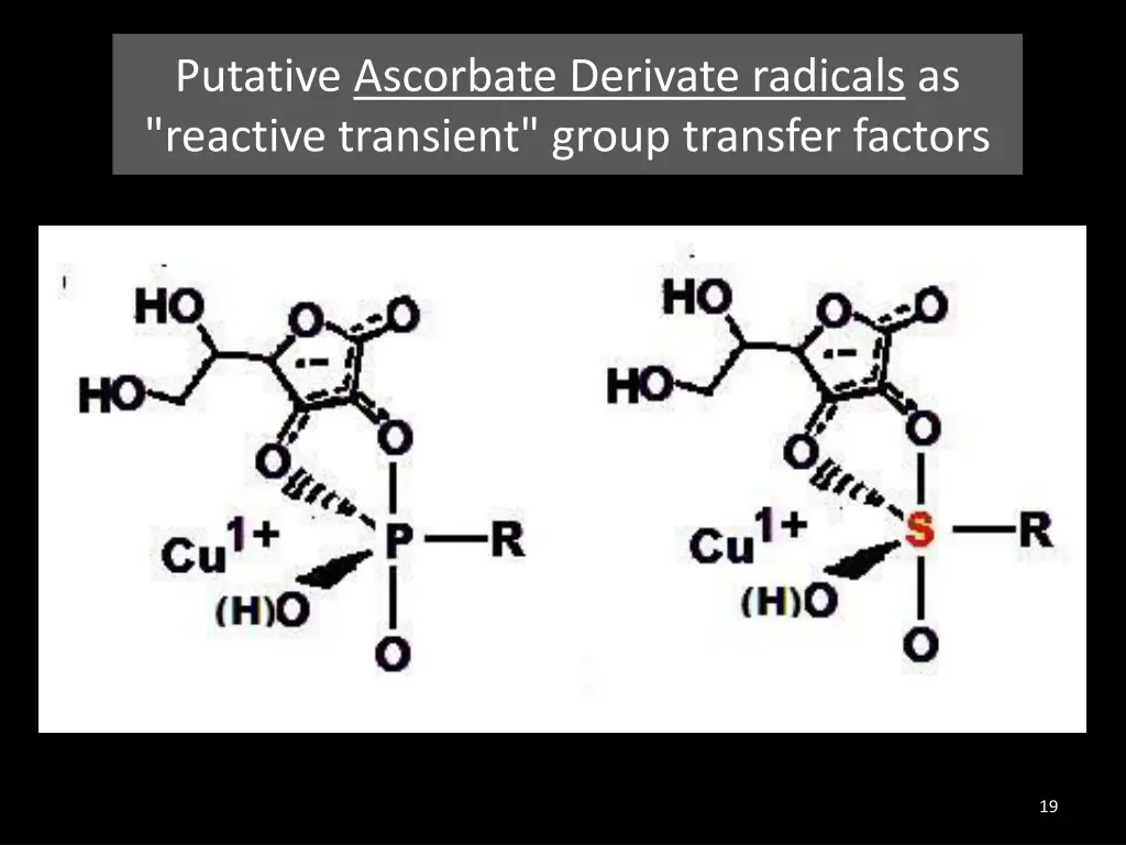 putative ascorbate derivate radicals as reactive
