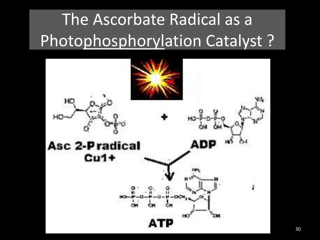 the ascorbate radical as a photophosphorylation