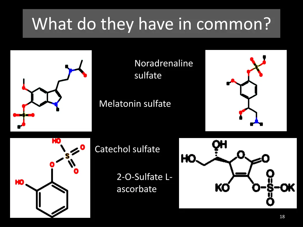 what do they have in common 1