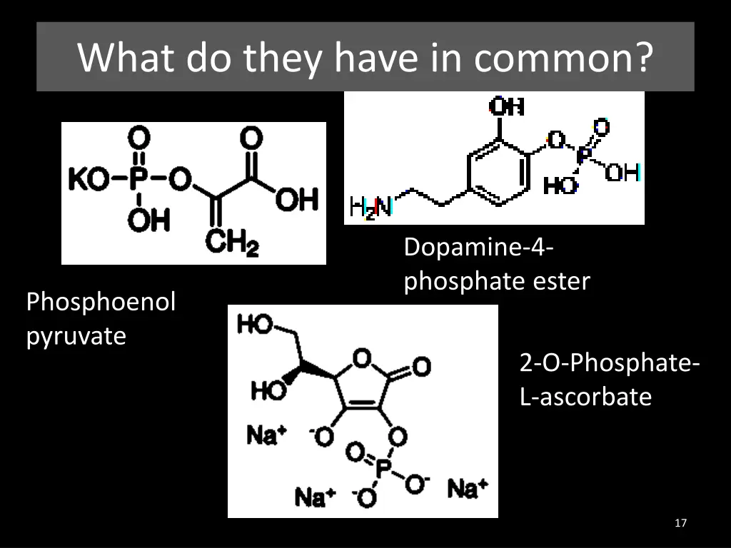 what do they have in common