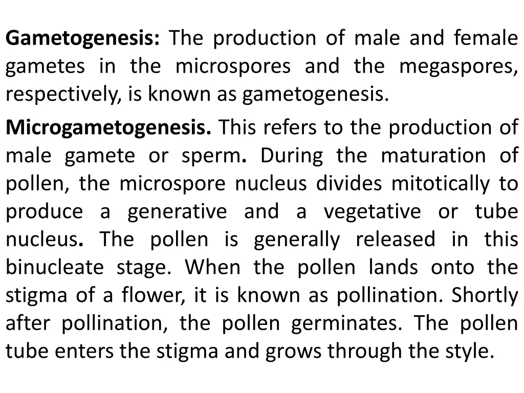 gametogenesis the production of male and female
