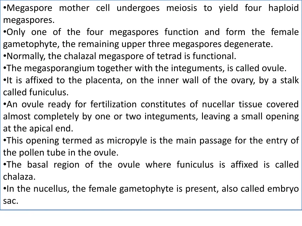 megaspore mother cell undergoes meiosis to yield