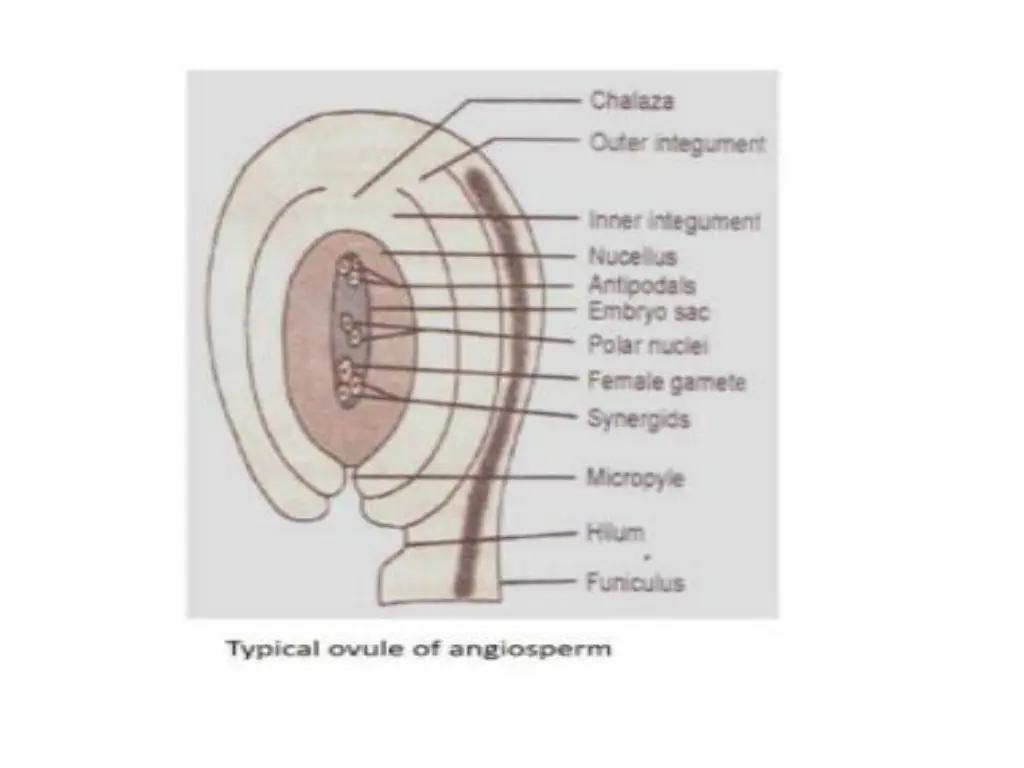 slide6