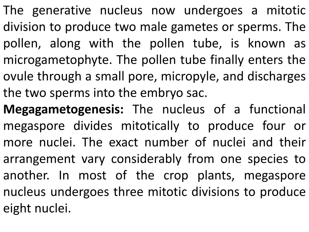 the generative nucleus now undergoes a mitotic