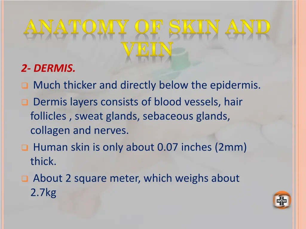 anatomy of skin and vein 2 dermis