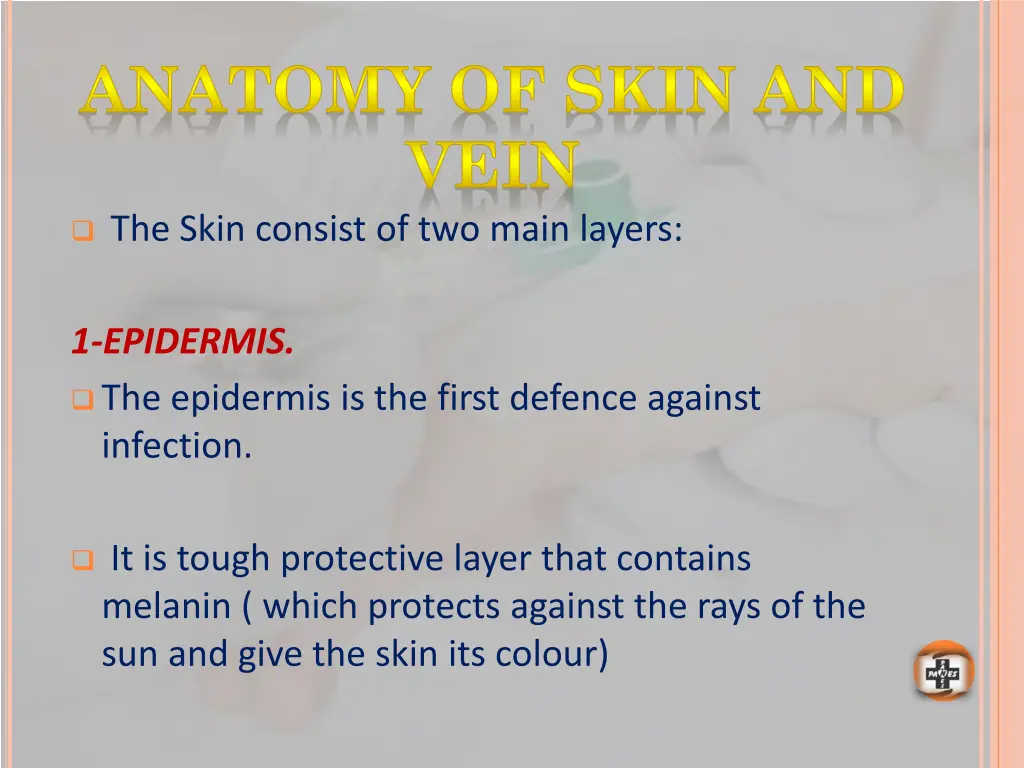 anatomy of skin and vein the skin consist