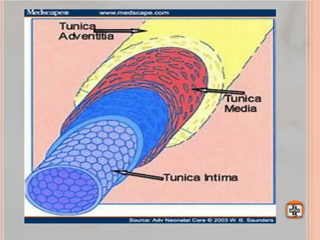 slide16