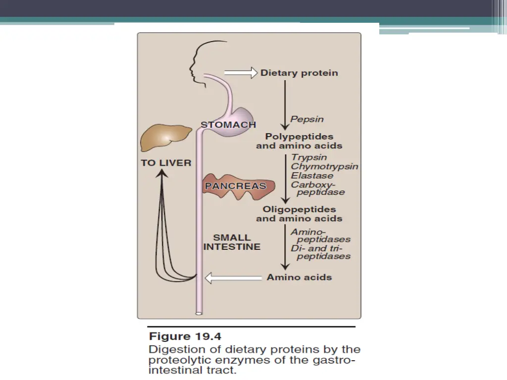 slide4