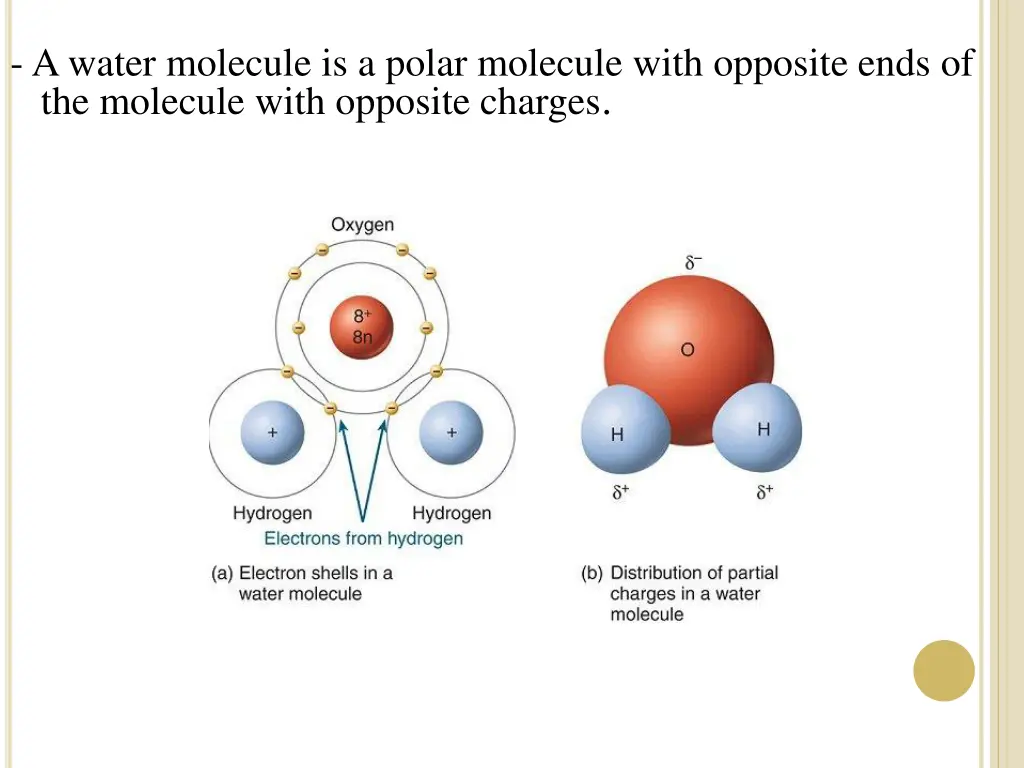 a water molecule is a polar molecule with