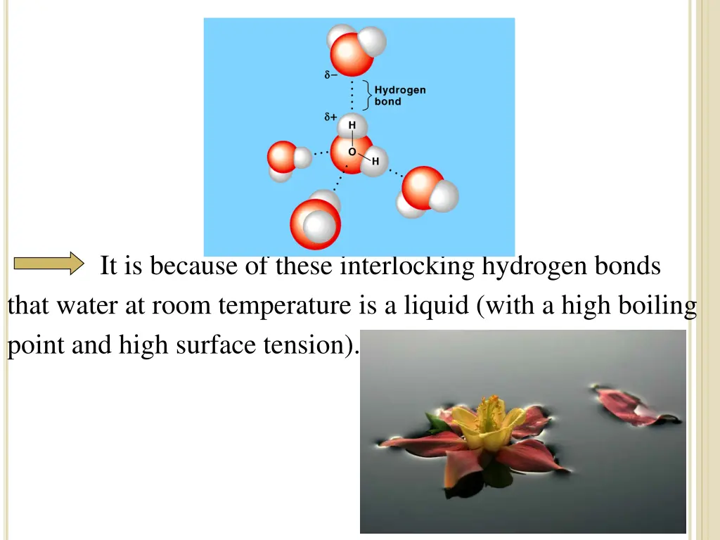it is because of these interlocking hydrogen